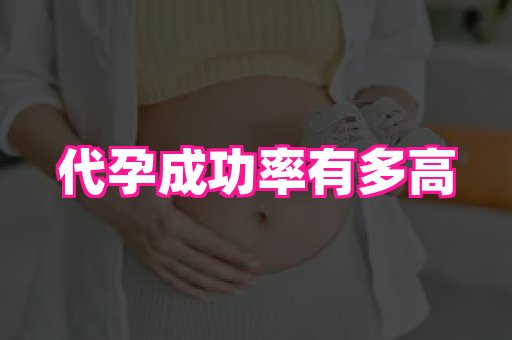武汉助孕网 1