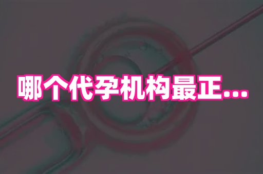 武汉助孕网 4
